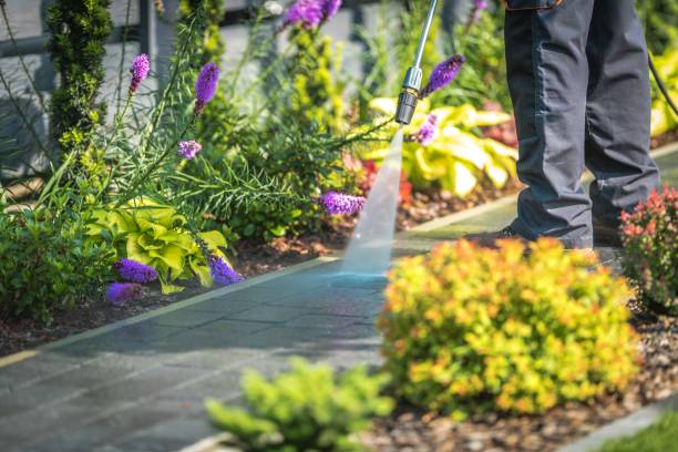 Best Dumpster Area Cleaning  in Panorama Village, TX