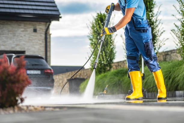 Best Gutter Cleaning  in Panorama Village, TX